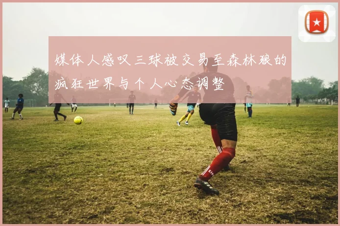 媒体人感叹三球被交易至森林狼的疯狂世界与个人心态调整