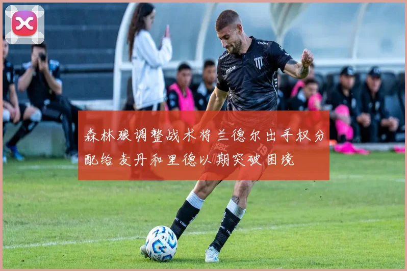 森林狼调整战术将兰德尔出手权分配给麦丹和里德以期突破困境